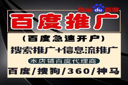 案例研究：竞价广告助力电商行业增长